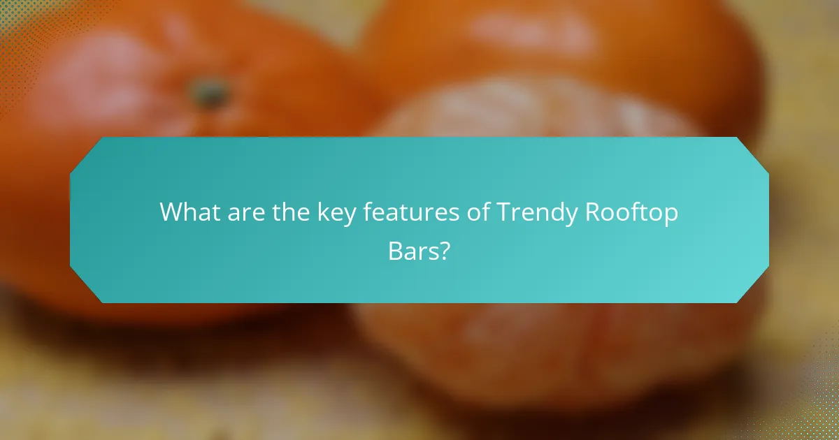 What are the key features of Trendy Rooftop Bars?