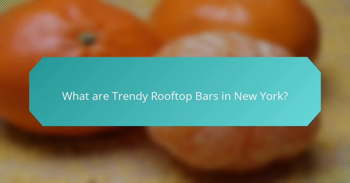 What are Trendy Rooftop Bars in New York?