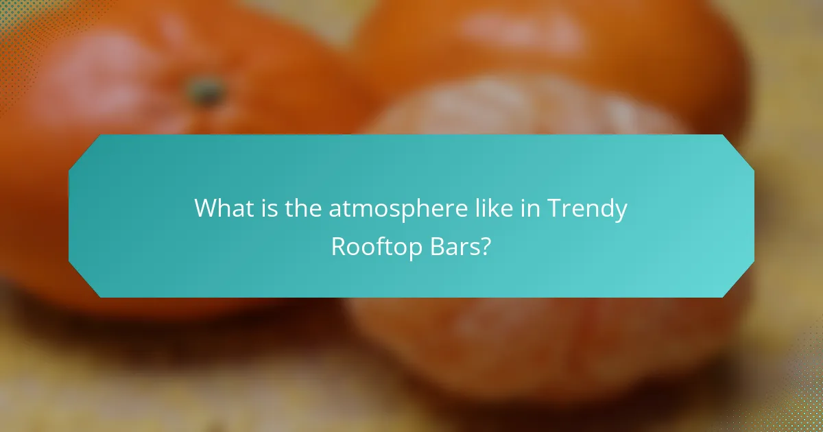 What is the atmosphere like in Trendy Rooftop Bars?